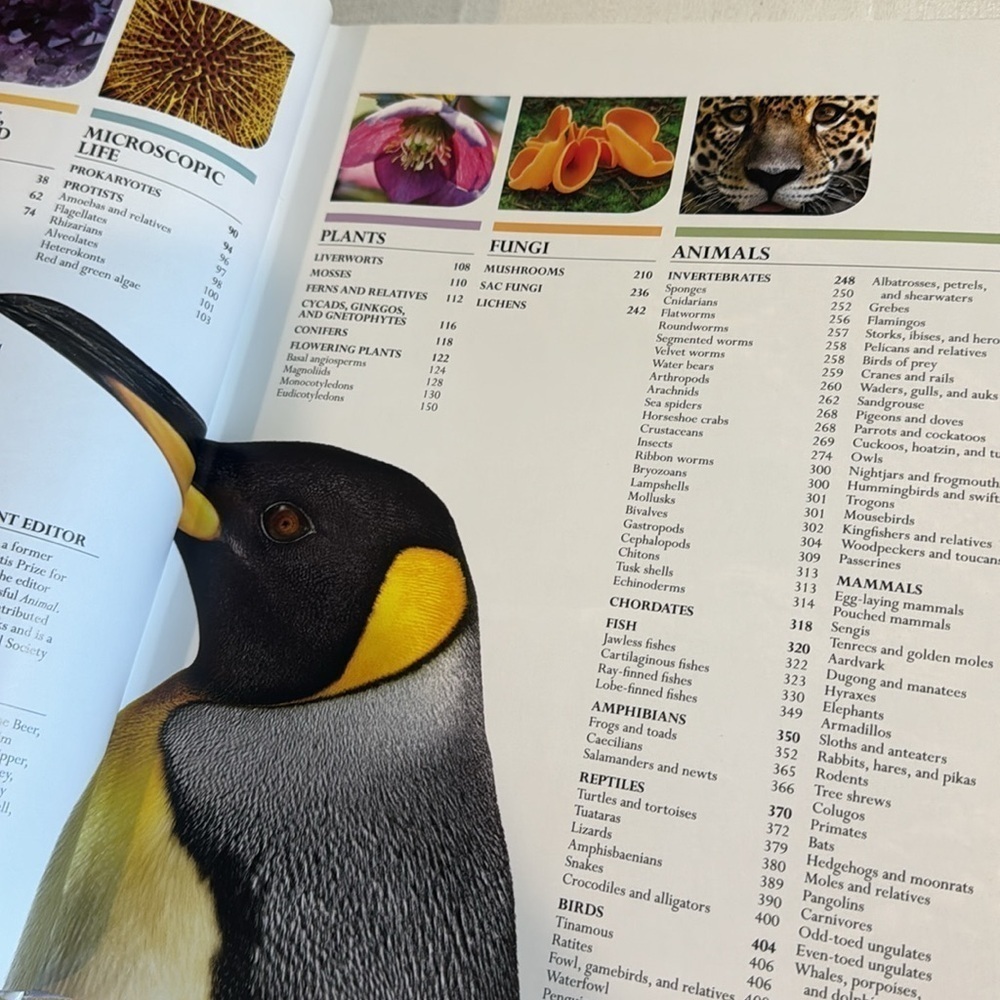 Smithsonian Natural History ultimate visual guide DK Publishing Hardcover - Picture 9 of 11